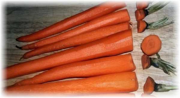 Как сушить морковь на зиму в домашних условиях: все способы заготовки сушеной моркови » сусеки