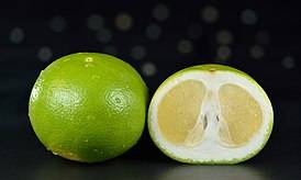 Свити: цитрусовый гибрид, полезные свойства белого грейпфрута и противопоказания
