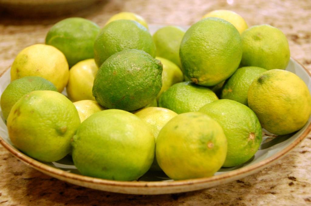Отличия лимона от лайма