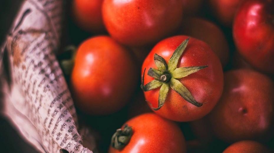 Как хранить помидоры чтобы они покраснели: ускоряем созревание и сохраняем свежесть овоща надолго