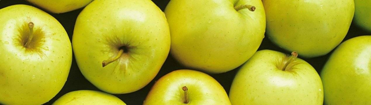 Яблоки голден: фото, калорийность, описание сорта, отзывы, польза