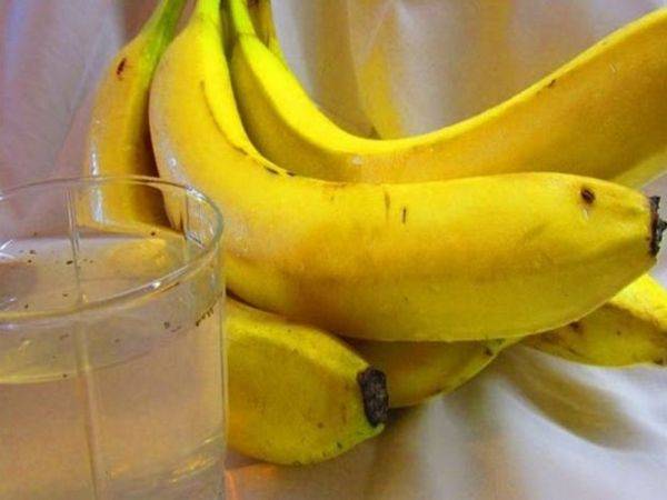 Подкормка цветов банановой кожурой как применять
