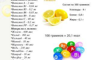 Какие витамины содержатся в апельсинах и лимонах: доклад, что содержится, микроэлементы, чем богат