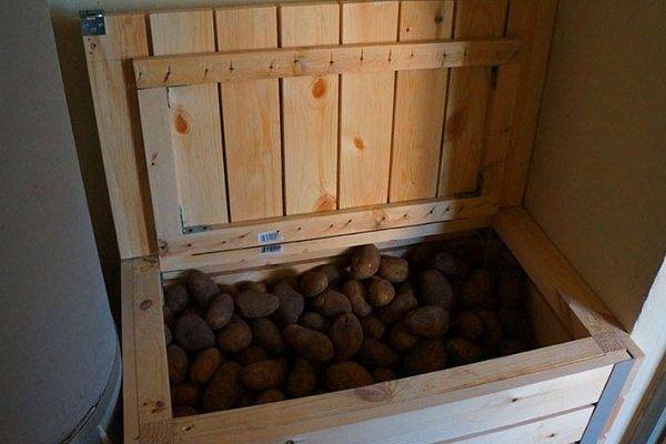 Ящик для хранения картофеля в квартире зимой: как содержать на балконе и в остальных местах, можно ли класть другие овощи, и как сделать контейнер своими руками? русский фермер