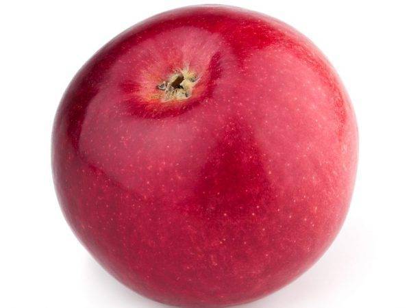 О яблоне заветное: описание и характеристики сорта, посадка и уход