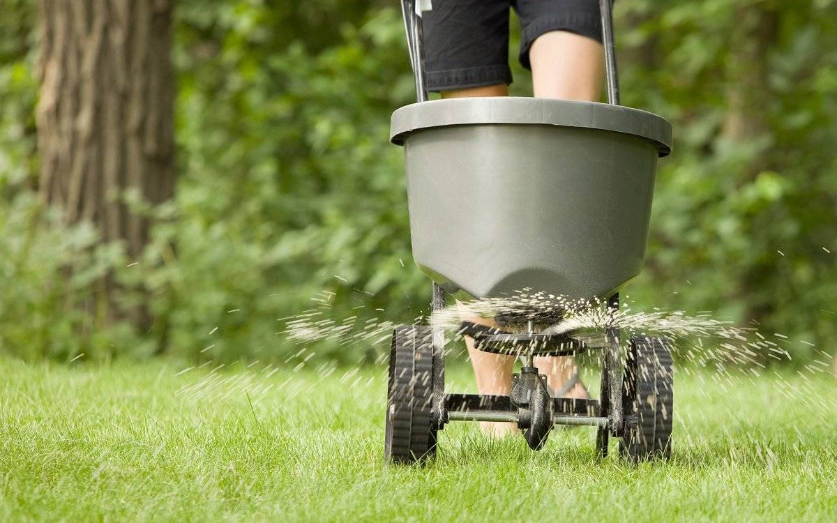 Удобрения для газона в весенний период, состав, методы подкормки газона.