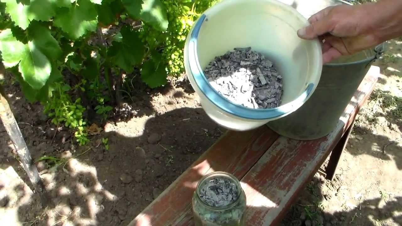 Древесная зола как удобрение: состав, применение, внесение под растения