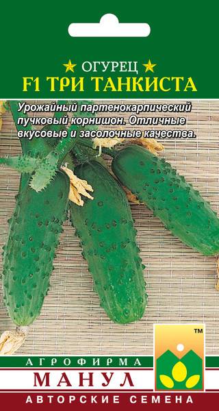 Огурец марьина роща f1 — описание и характеристика сорта