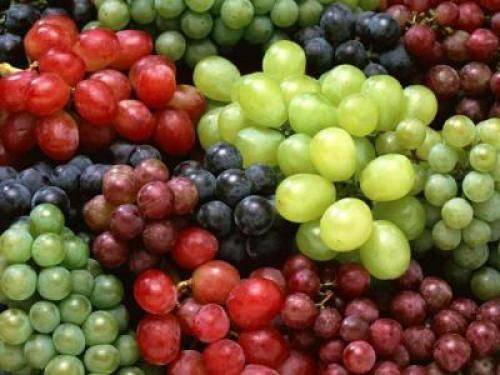 Виноград: польза и вред для организма при похудении, калорийность на 100 грамм