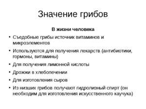 Схема роль грибов в природе и жизни человека