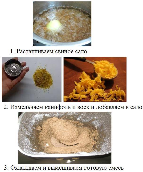 Как приготовить садовый вар своими руками? :: syl.ru