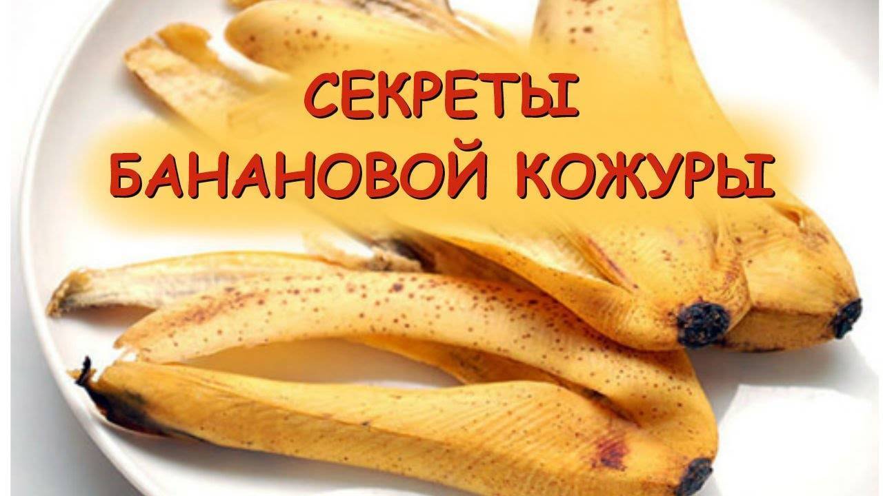 Простые рецепты подкормок для сада: удобрение из банановой кожуры
