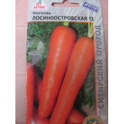 Морковь сорта «лосиноостровская 13»: описание и советы по выращиванию