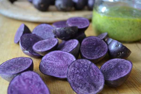 Фиолетовый картофель: сорта, имеющие яркую окраску, их описание и фото русский фермер