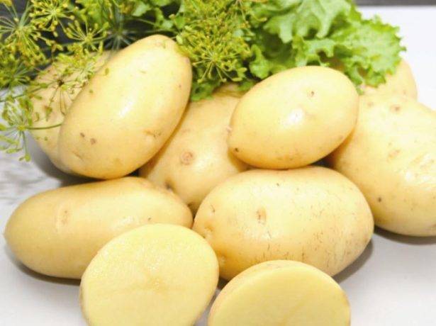 Характеристика картофеля сказка