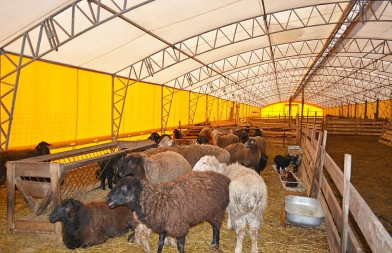 Хлев: проекты сараев для скота и теплый хлев для домашних животных своими руками, планировка хлева для мелкой скотины, баранов и других животных