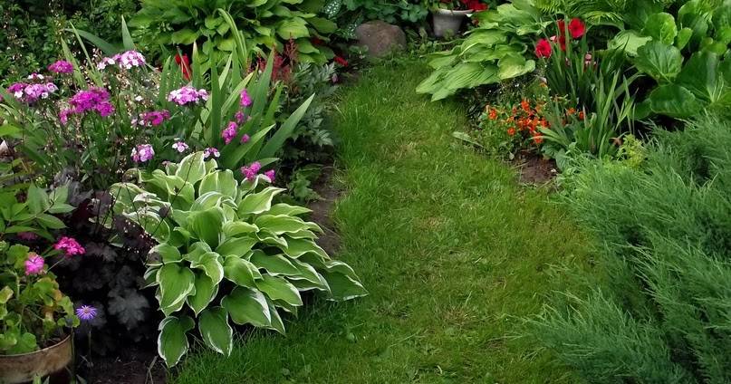 Кислая почва - что делать | сайт о саде, даче и комнатных растениях.