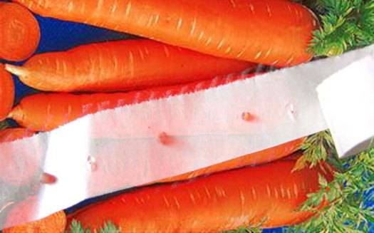 Как и чем приклеить семена моркови на бумагу