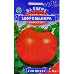 Цифомандра — томатное дерево или сибирский сорт томата?