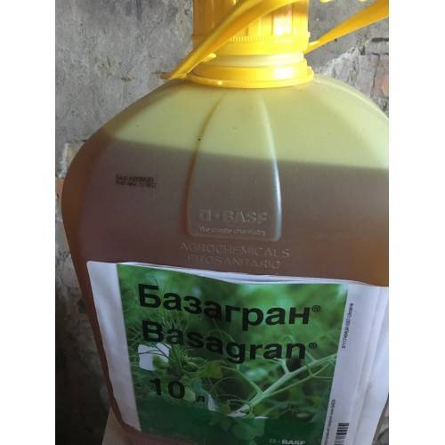 Базагран - гербицид от сорняков, инструкция по применению, расход