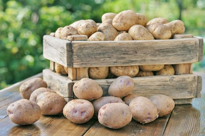 Как хранить картошку в домашних условиях