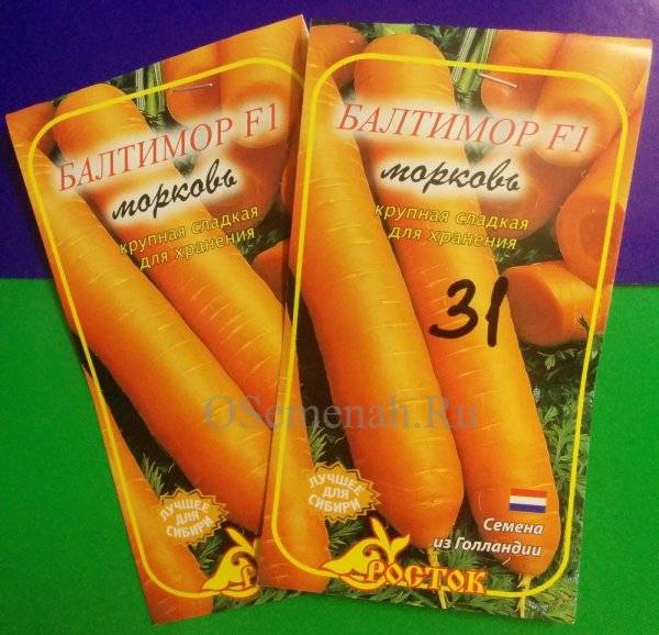 Сорта моркови: урожайность и характеристики лучших видов моркови, описание кормовой и для длительного хранения, фото и отзывы