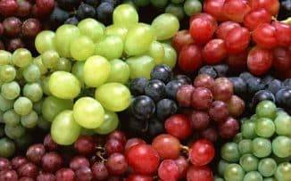 Основные свойства черного винограда, польза и вред для организма, противопоказания к употреблению