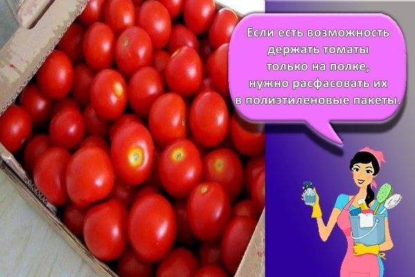 Как хранить помидоры в домашних условиях в квартире: где и в чем хранить свежие спелые и зеленые плоды
