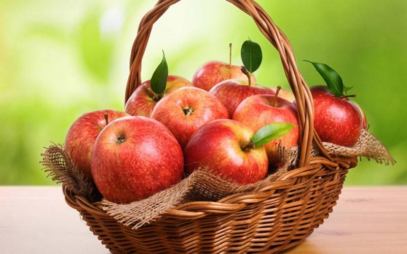 Калорийность яблок — бжу и суточная норма