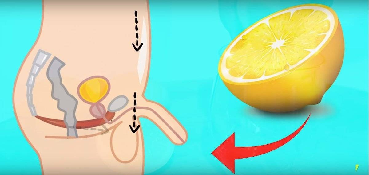Состав лимона: сколько и какие витамины содержит, польза и вред для организма человека