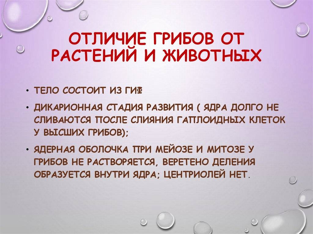 Чем отличаются растения. Отличие грибов от растений и животных. Чем грибы отличаются от растений и животных. Сходства и отличия грибов от растений и животных. Чем грибы отличаются от животных.