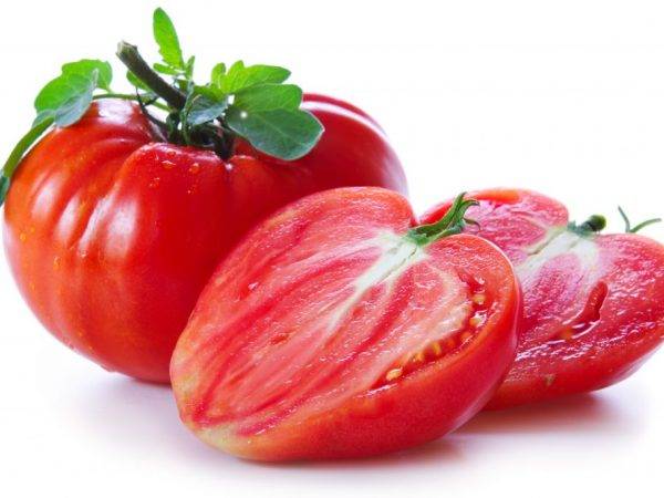 Выращивание томатов  «лентяйка», описание и характеристика сорта
