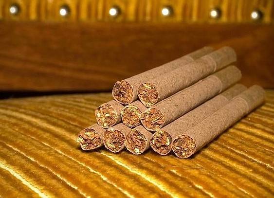 Выращивание табака: особенности посадки и ухода