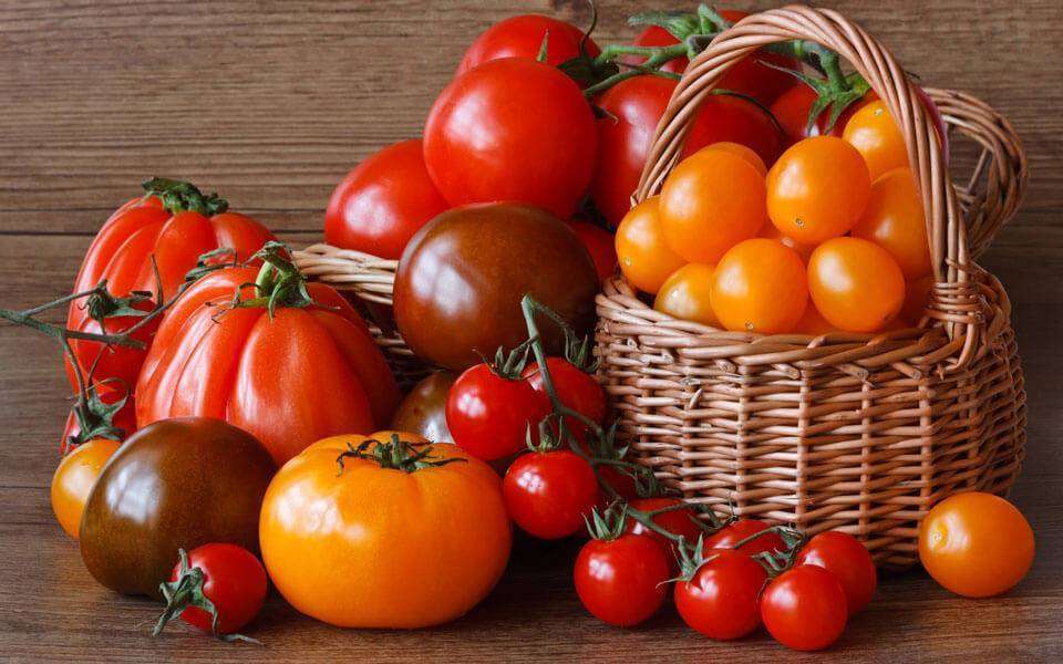 Новые сорта томатов на 2018 год, фото и описание