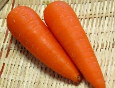 Лучшие сорта моркови для сибири | вырасти сад!