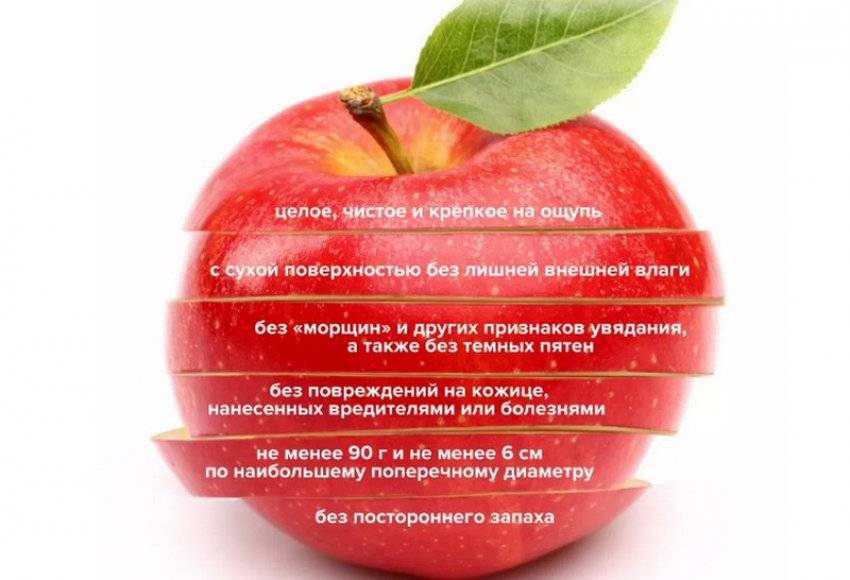 Яблоко - цитрусовый фрукт