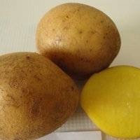 Картофель гала: характеристика сорта и вкусовые качества, срок созревания