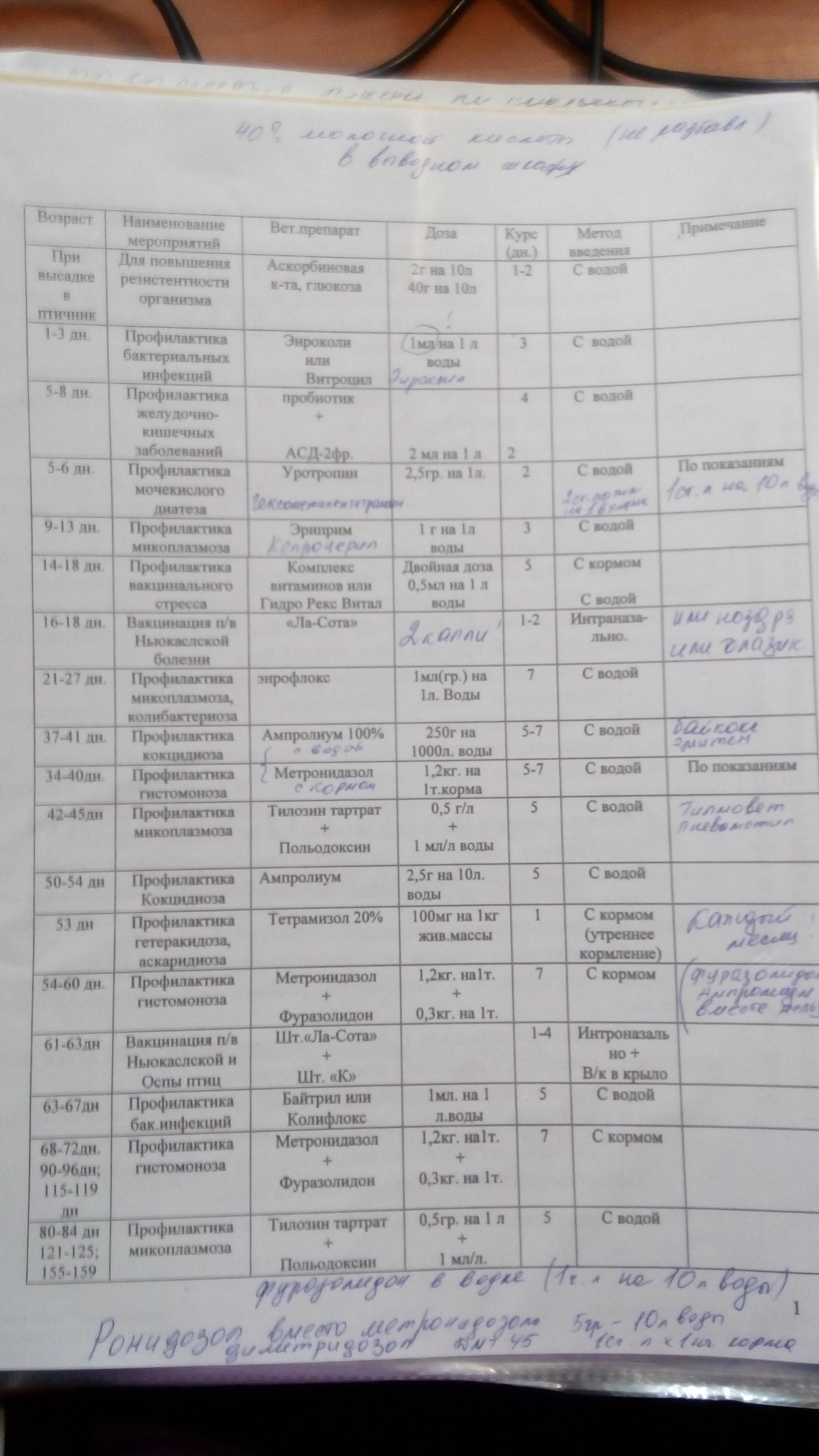 Схема лечебно профилактических мероприятий при выращивании индеек сверх тяжелых кроссов