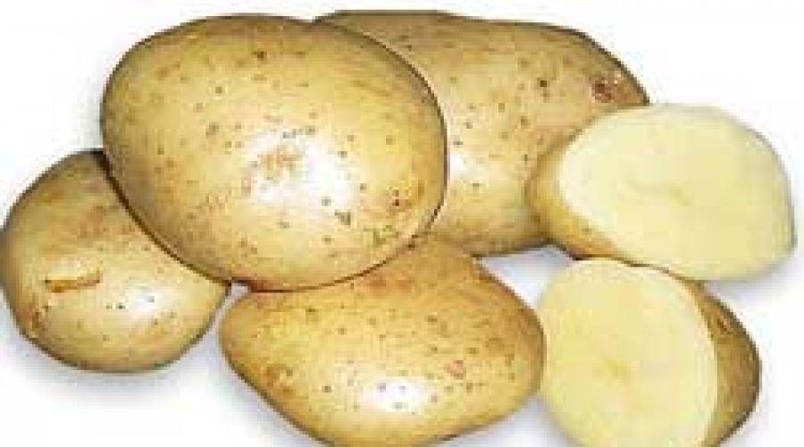 Сорта картофеля: названия, описание и фото разновидностей