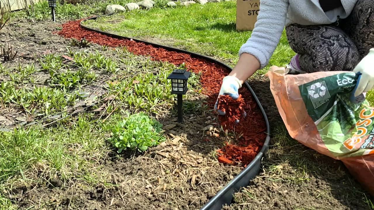 Мульчирование почвы скошенной травой: как сделать мульчу своими руками и правильно применять для томатов, огурцов, клубники и иного в теплице и открытом грунте