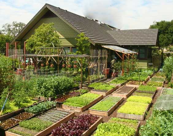 Планировка сада и огорода фото красивых участков, схемы, проекты