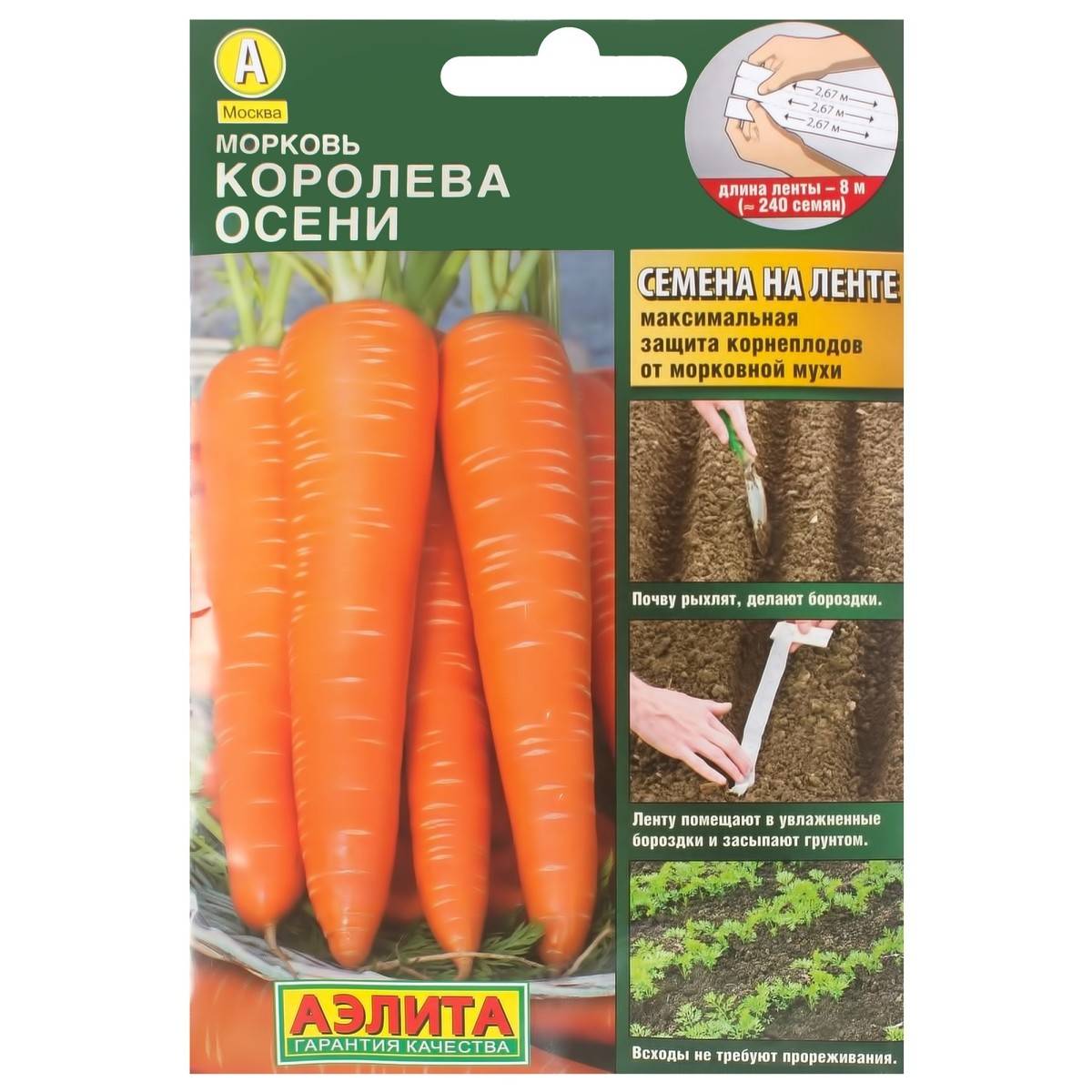 Морковь королева осени - описание сорта, особенности выращивания + фото и отзывы