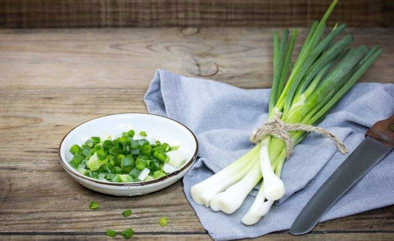 Зеленый лук: как хранить в домашних условиях срезанное перо, как можно правильно долго держать в холодильнике, чтобы оставалось свежим дольше, при какой температуре?