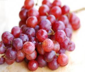 Виноград кеша - описание, характеристики, свойства, гибриды винограда кеша, особенности выращивания и ухода