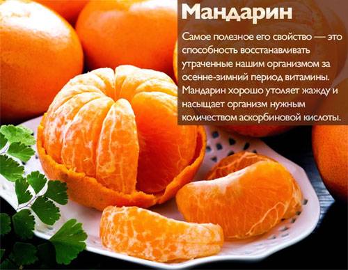 Мандарины - новогодний фрукт как средство от тоски и источник витаминов. мандарины витамины витамины в мандаринах