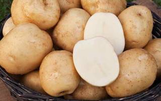 Описание сорта картофеля ред фэнтези