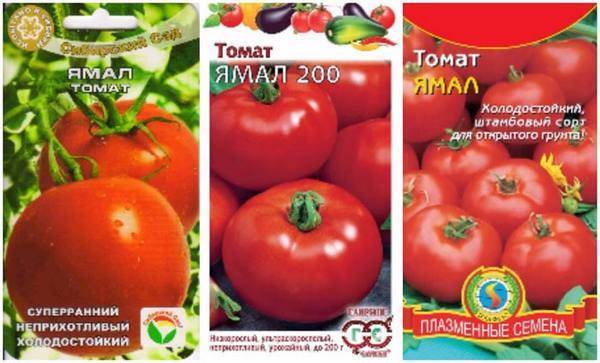 Томат "ямал": характеристика и описание сорта, урожайность, отзывы, фото