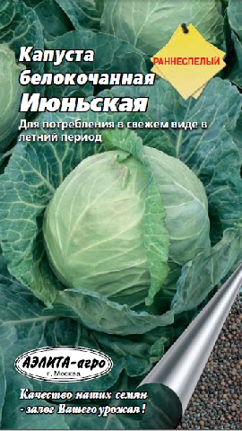 Рассада капусты – когда сажать и как вырастить в домашних условиях