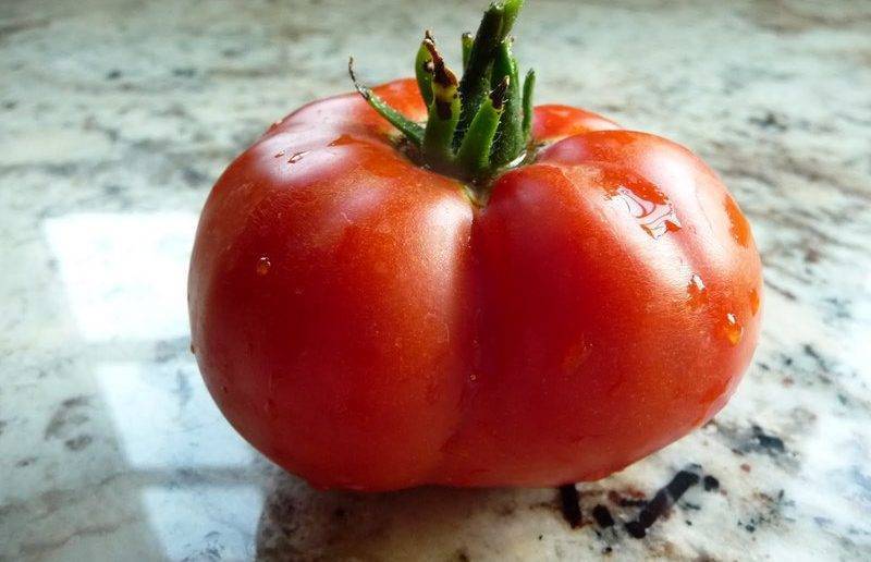 Урожайность с характеристиками и описанием сорта томата кострома
