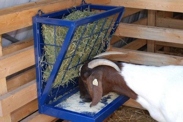Самостоятельная сборка станка для доения коз